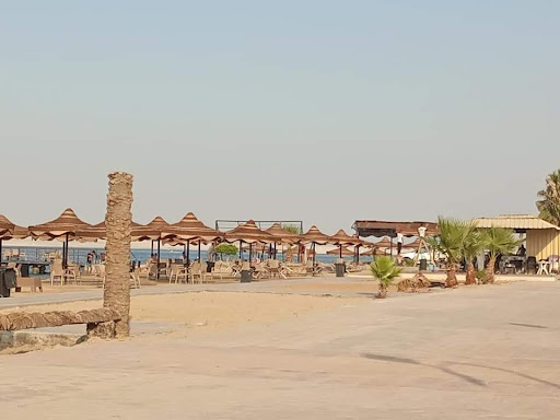 مكتب النورس للعقارات_ لتأجير الشاليهات والشقق والفيلات_ الإسماعيلية