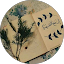 أذكار المسلم