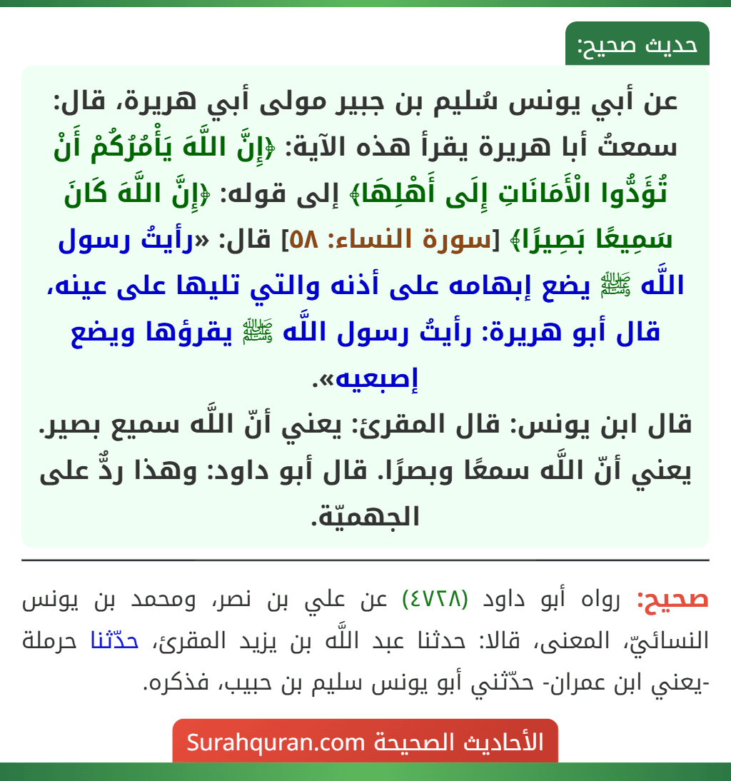 رأي صريح حول حجر أولاد أبو يونس: تحليل وتقييم شامل